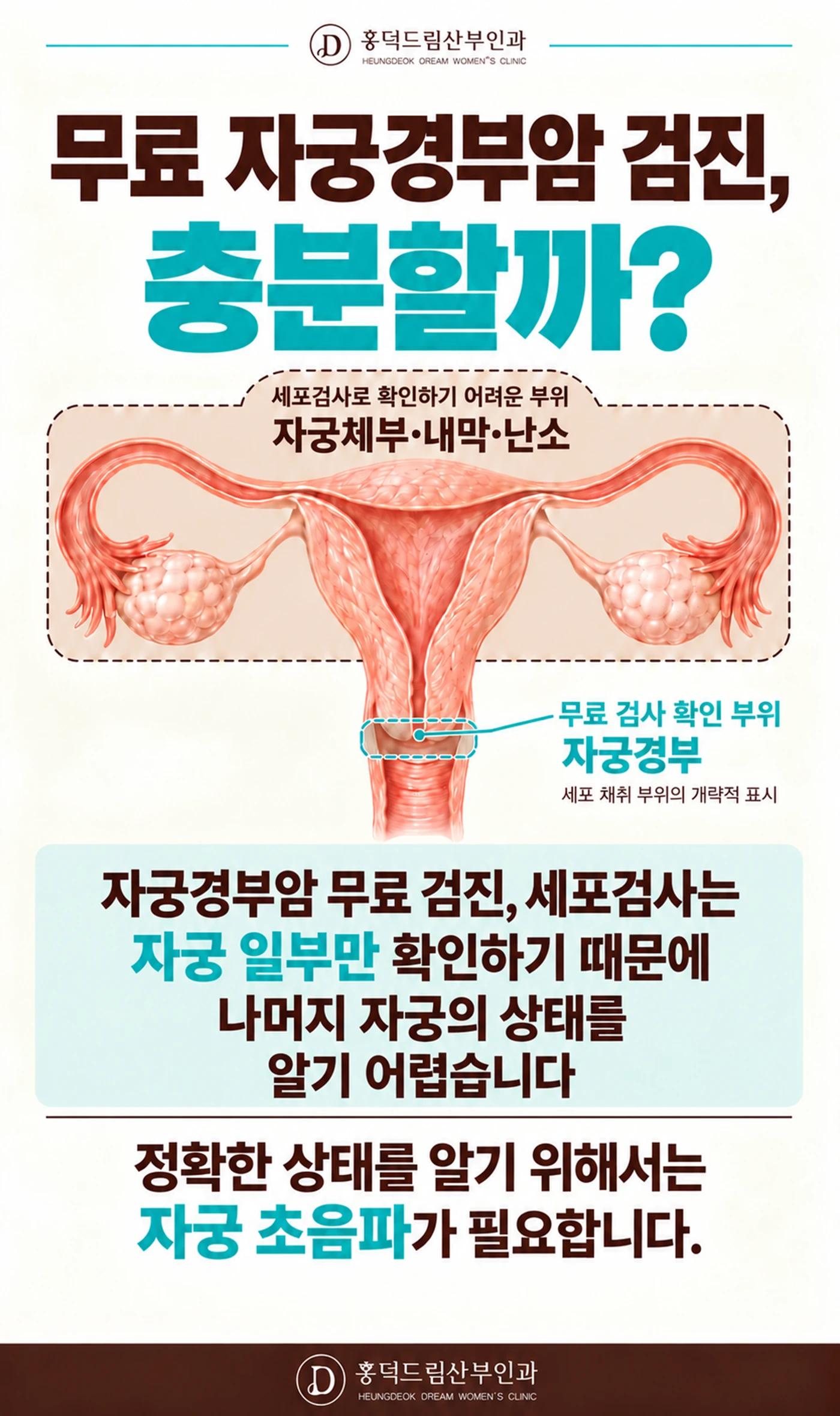 자궁경부암 검진과 초음파